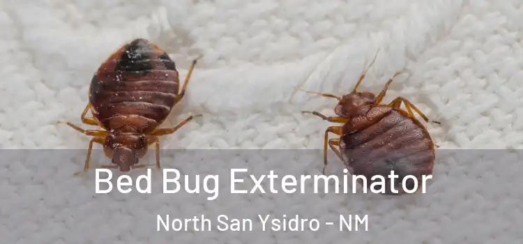  Bed Bug Exterminator North San Ysidro - NM