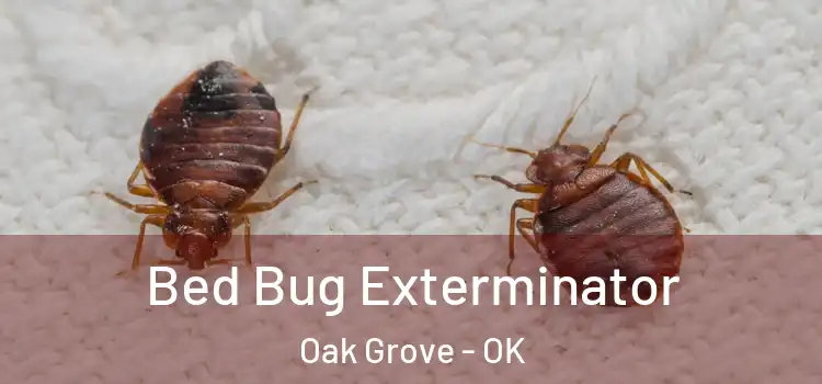  Bed Bug Exterminator Oak Grove - OK