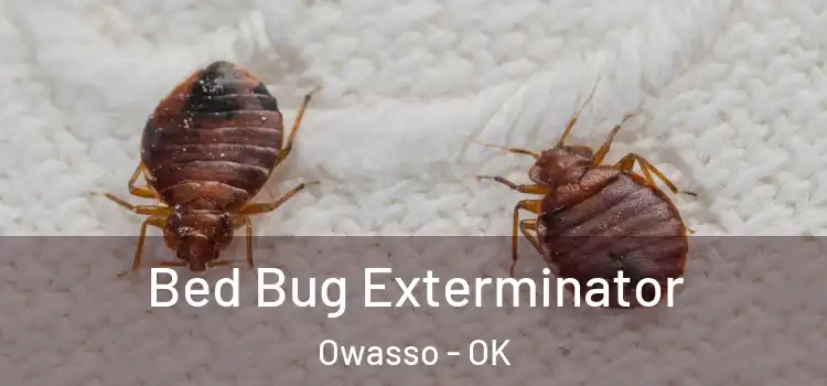 Bed Bug Exterminator Owasso - OK