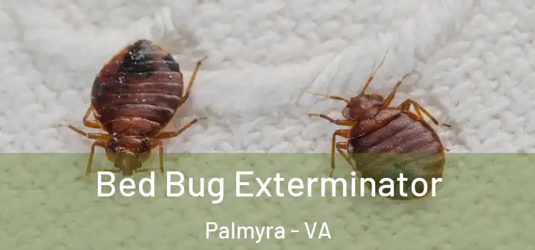  Bed Bug Exterminator Palmyra - VA