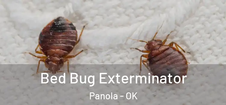  Bed Bug Exterminator Panola - OK