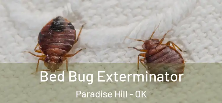  Bed Bug Exterminator Paradise Hill - OK