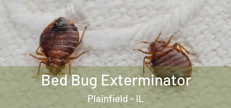 Bed Bug Exterminator Plainfield - IL