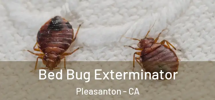 Bed Bug Exterminator Pleasanton - CA