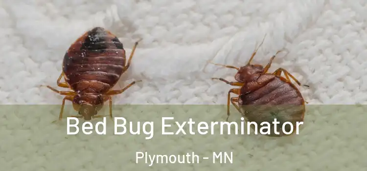  Bed Bug Exterminator Plymouth - MN