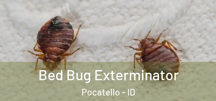 Bed Bug Exterminator Pocatello - ID