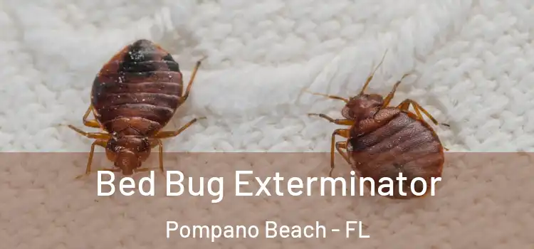 Bed Bug Exterminator Pompano Beach - FL