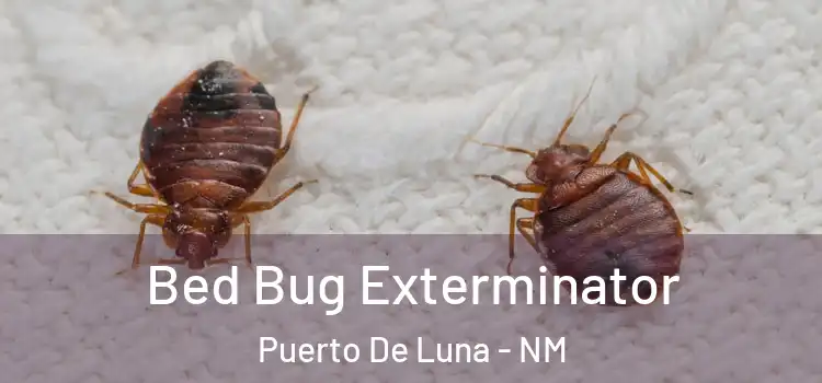  Bed Bug Exterminator Puerto De Luna - NM