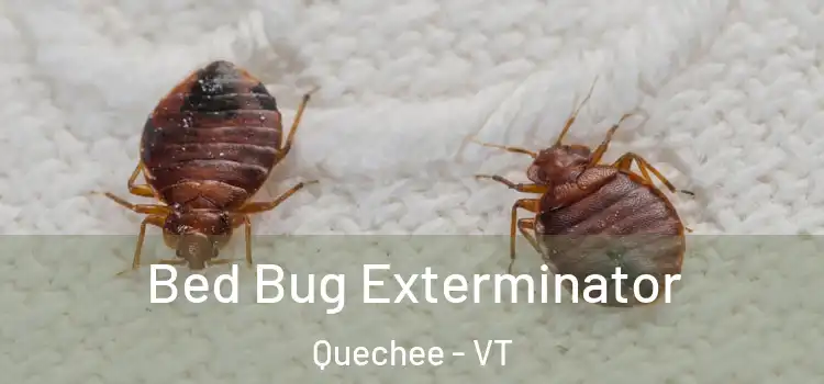  Bed Bug Exterminator Quechee - VT