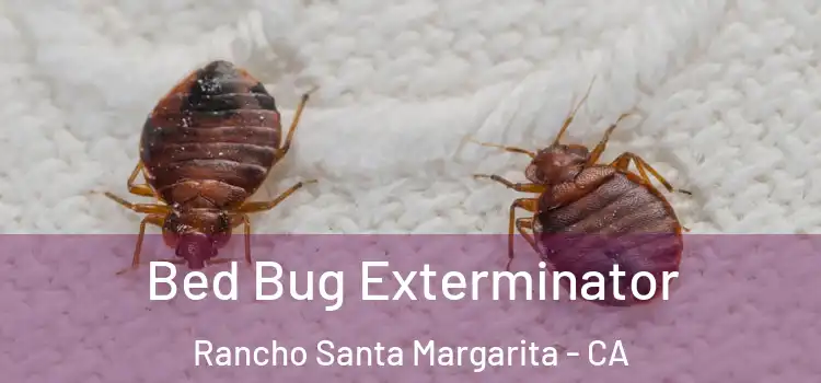 Bed Bug Exterminator Rancho Santa Margarita - CA