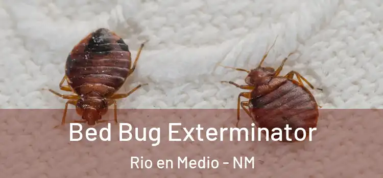  Bed Bug Exterminator Rio en Medio - NM