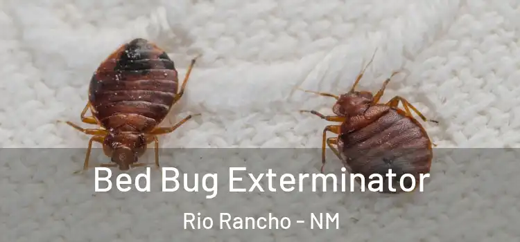  Bed Bug Exterminator Rio Rancho - NM