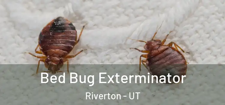  Bed Bug Exterminator Riverton - UT
