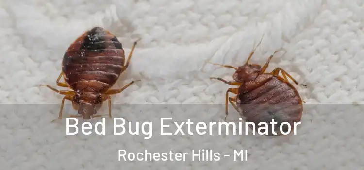  Bed Bug Exterminator Rochester Hills - MI