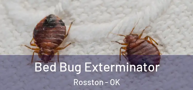  Bed Bug Exterminator Rosston - OK