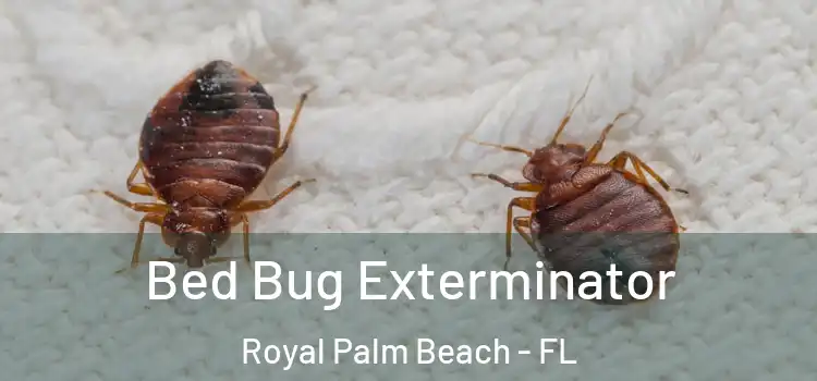  Bed Bug Exterminator Royal Palm Beach - FL