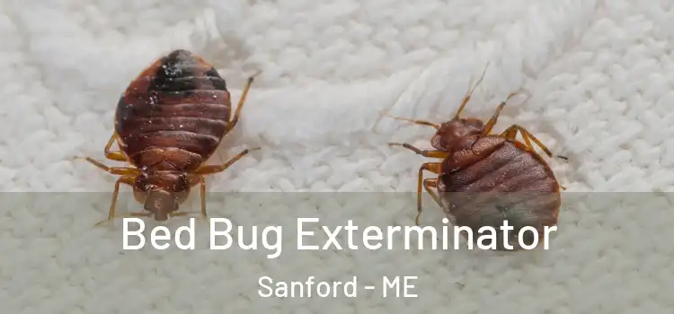 Bed Bug Exterminator Sanford - ME