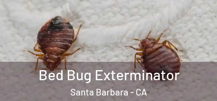 Bed Bug Exterminator Santa Barbara - CA