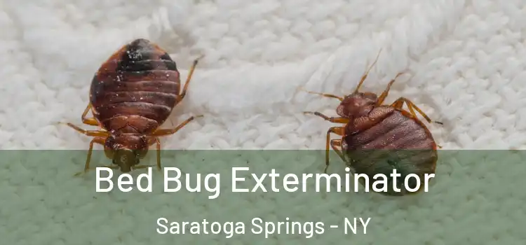  Bed Bug Exterminator Saratoga Springs - NY