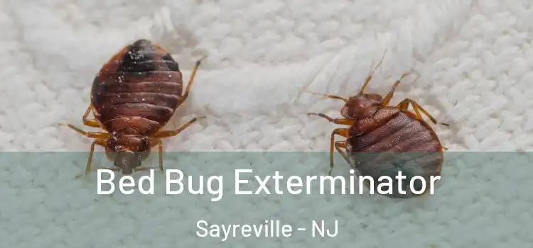  Bed Bug Exterminator Sayreville - NJ