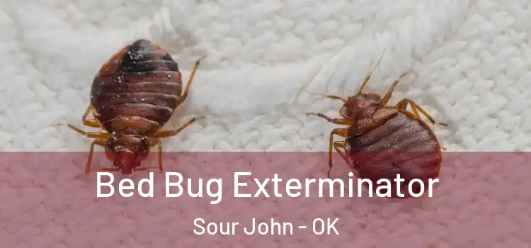  Bed Bug Exterminator Sour John - OK