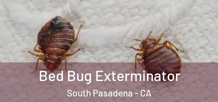 Bed Bug Exterminator South Pasadena - CA