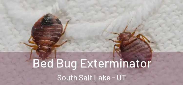  Bed Bug Exterminator South Salt Lake - UT