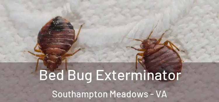  Bed Bug Exterminator Southampton Meadows - VA
