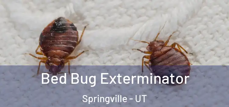  Bed Bug Exterminator Springville - UT