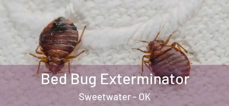  Bed Bug Exterminator Sweetwater - OK