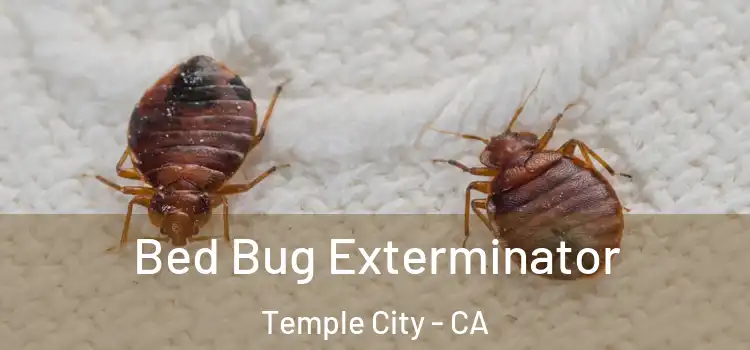 Bed Bug Exterminator Temple City - CA
