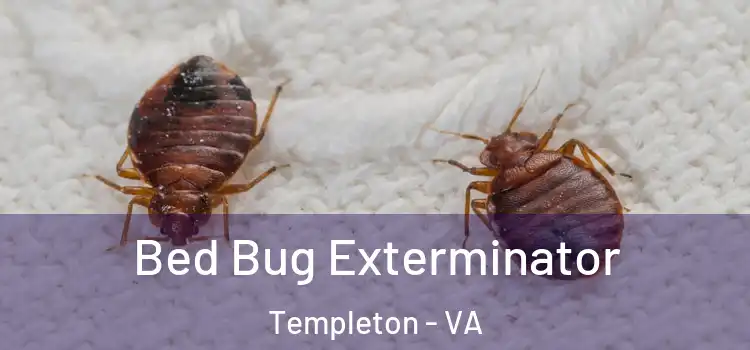  Bed Bug Exterminator Templeton - VA