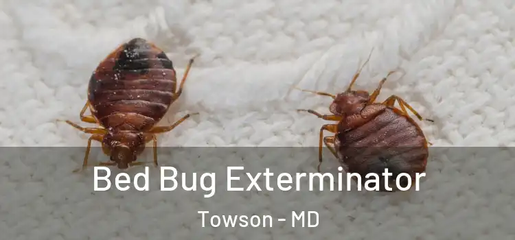  Bed Bug Exterminator Towson - MD