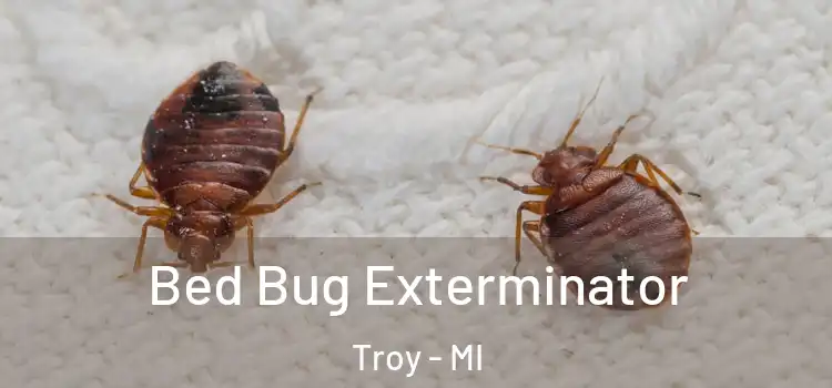  Bed Bug Exterminator Troy - MI