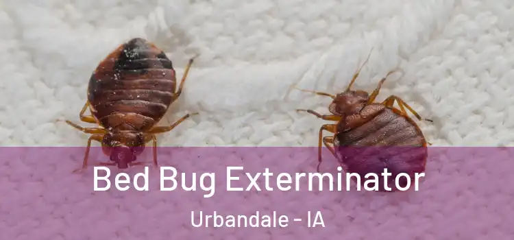 Bed Bug Exterminator Urbandale - IA