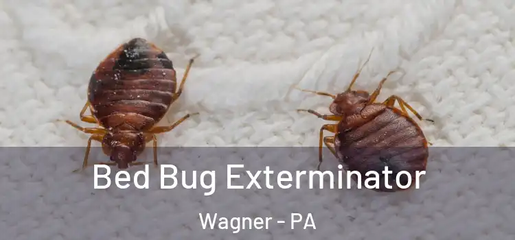 Bed Bug Exterminator Wagner - PA