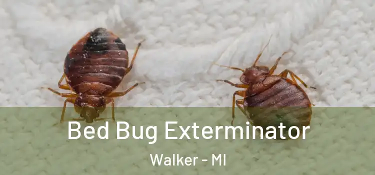  Bed Bug Exterminator Walker - MI