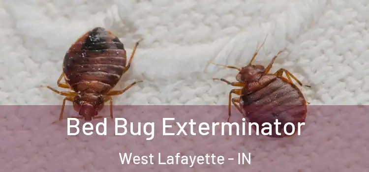  Bed Bug Exterminator West Lafayette - IN