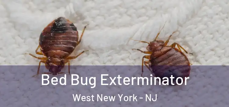  Bed Bug Exterminator West New York - NJ