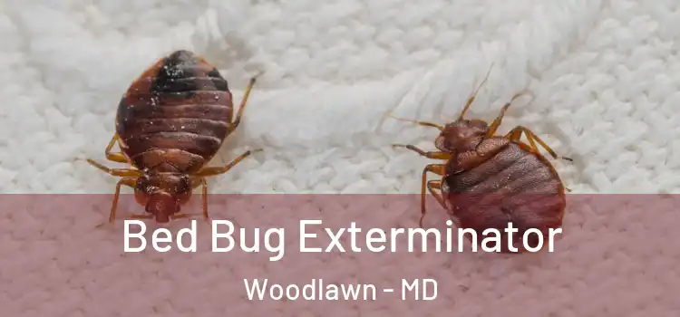  Bed Bug Exterminator Woodlawn - MD