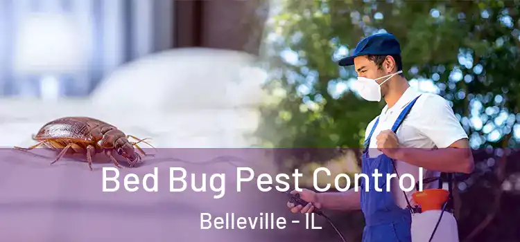  Bed Bug Pest Control Belleville - IL