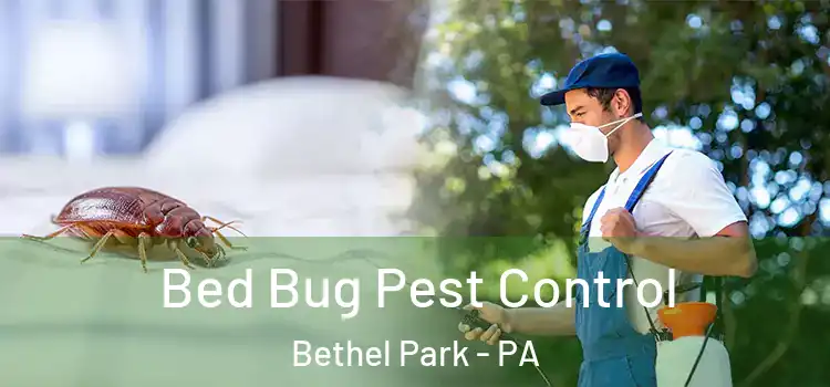  Bed Bug Pest Control Bethel Park - PA