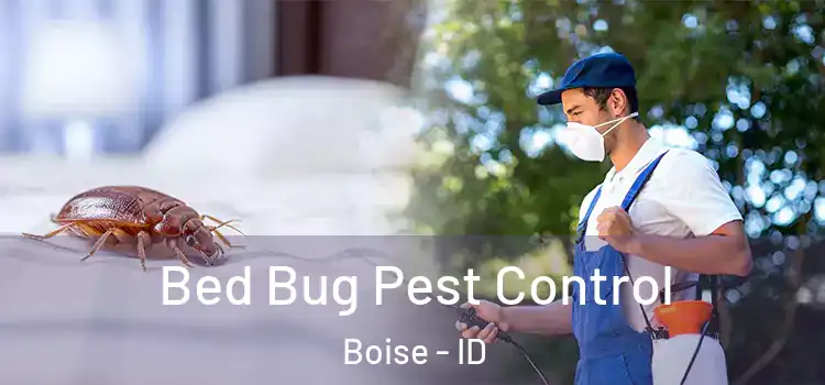  Bed Bug Pest Control Boise - ID