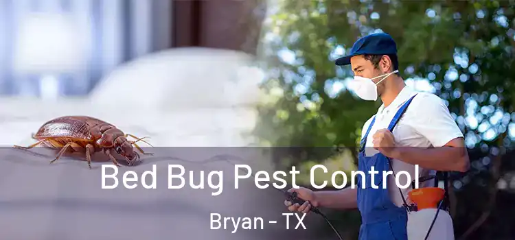 Bed Bug Pest Control Bryan - TX