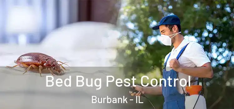  Bed Bug Pest Control Burbank - IL