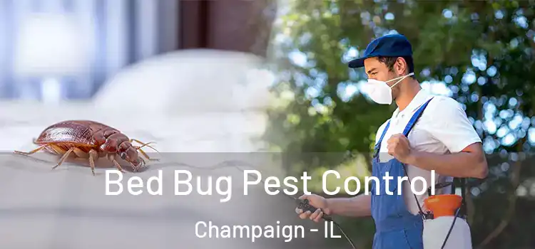 Bed Bug Pest Control Champaign - IL