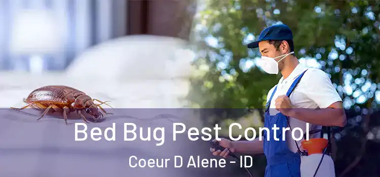  Bed Bug Pest Control Coeur D Alene - ID