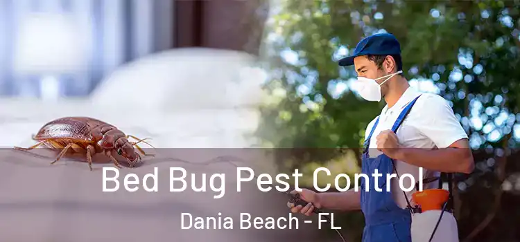  Bed Bug Pest Control Dania Beach - FL