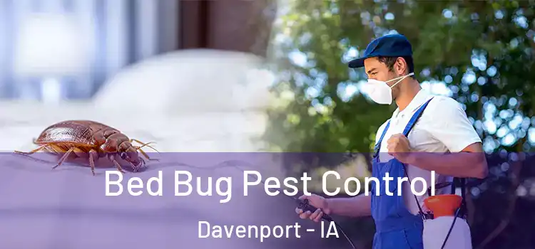 Bed Bug Pest Control Davenport - IA