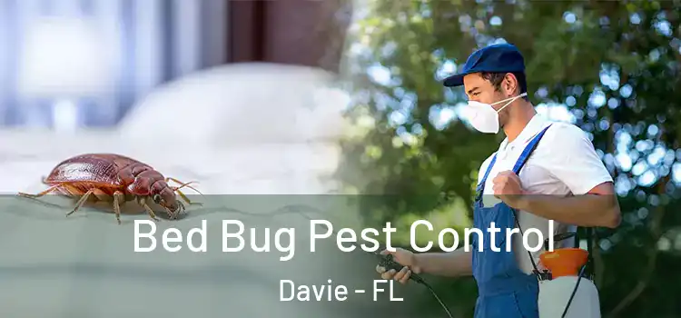  Bed Bug Pest Control Davie - FL